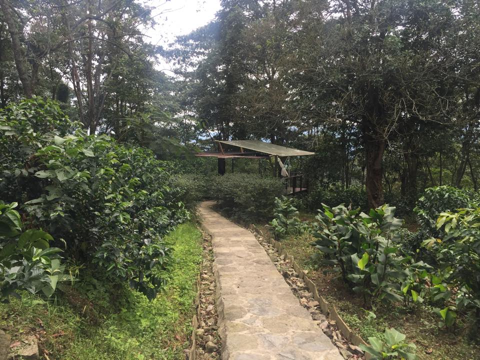 Colombia  Gallery Images