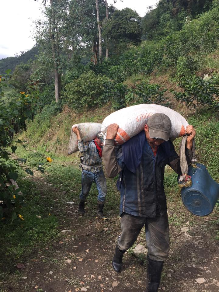 Colombia  Gallery Images