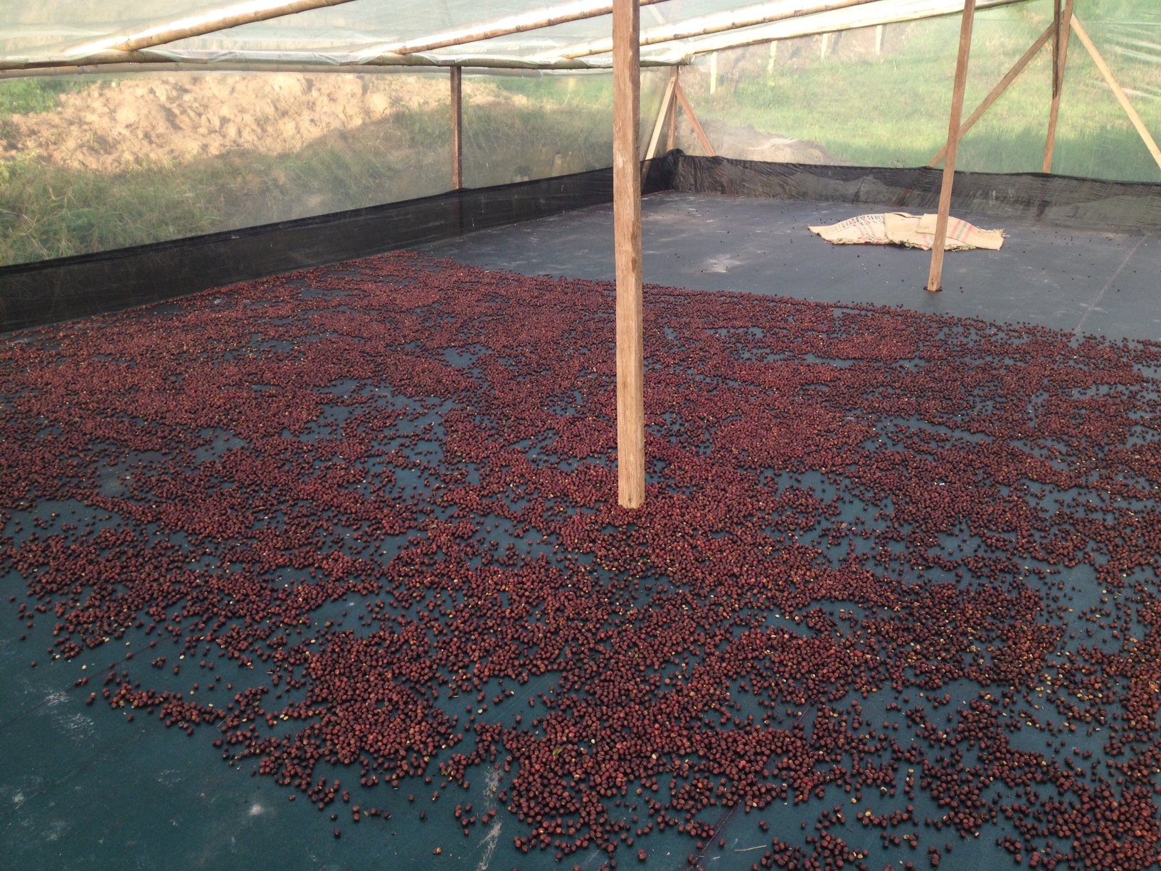 Colombia  Gallery Images