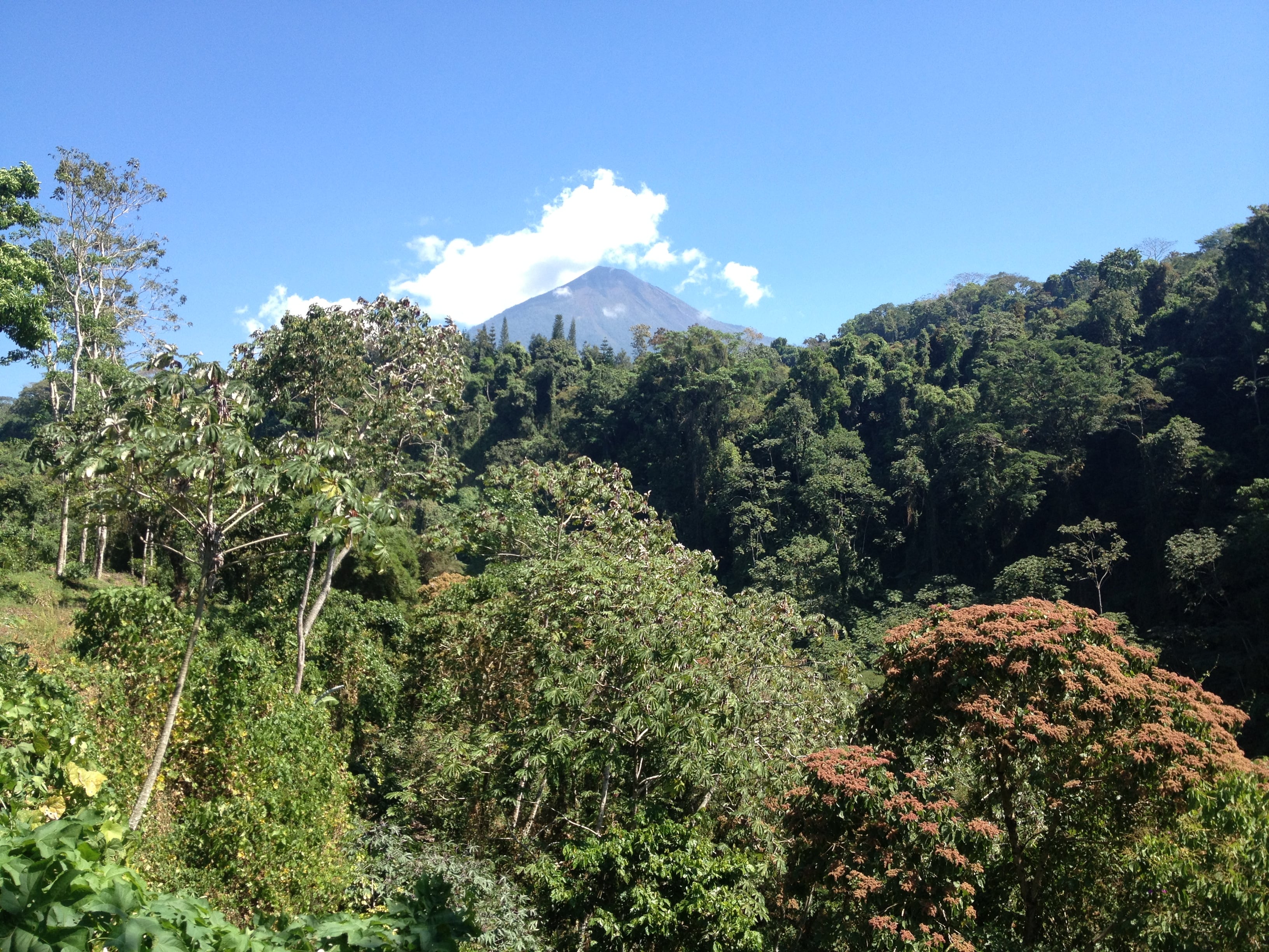 Guatemala Gallery Images