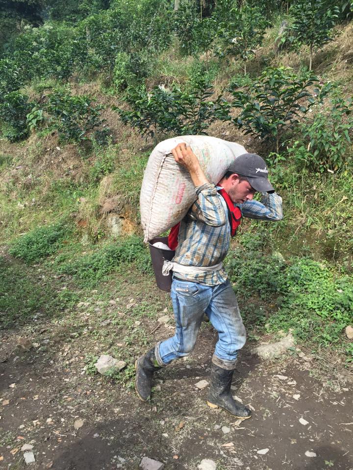 Colombia  Gallery Images