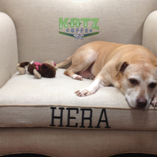 Image for Hera 