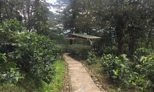 Colombia  Gallery Images
