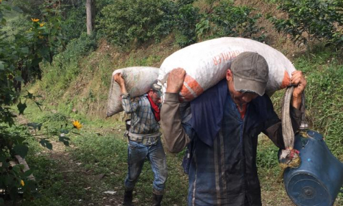 Colombia  Gallery Images