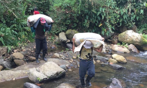Colombia  Gallery Images