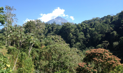 Guatemala Gallery Images