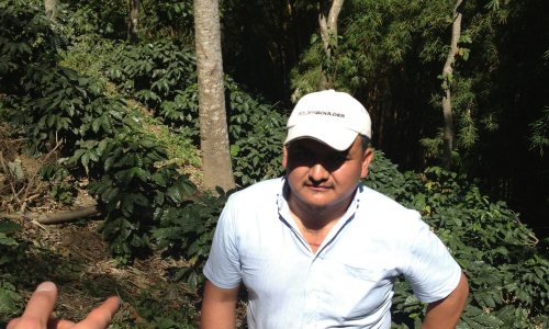 Guatemala Gallery Images