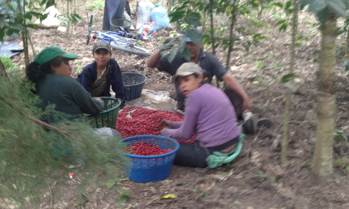 Guatemala Gallery Images