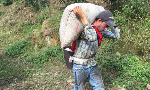 Colombia  Gallery Images